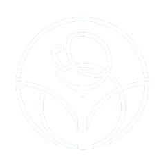 https://sanctuarytalesmn.com/wp-content/uploads/2019/08/white_rose.png